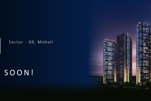 Noble Aurellia , Mohali