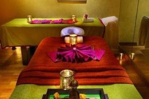 Spa Hibiscus Zirakpur