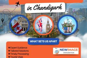 Maestro Immigration Consultants