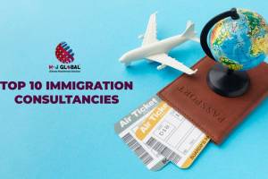 MegaConsultant, VIvek vihar, Ghaziabad