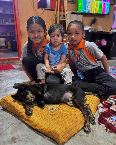 Ramesh Bhandari Chetri, India logo