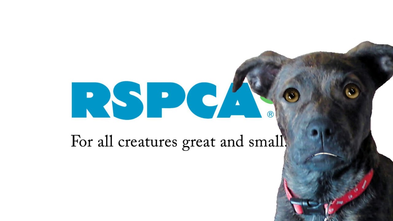 Animal Welfare Association Panchkula logo