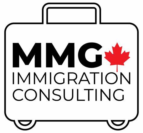 Vazir Group - Immigration Consultant, Chandigarh logo