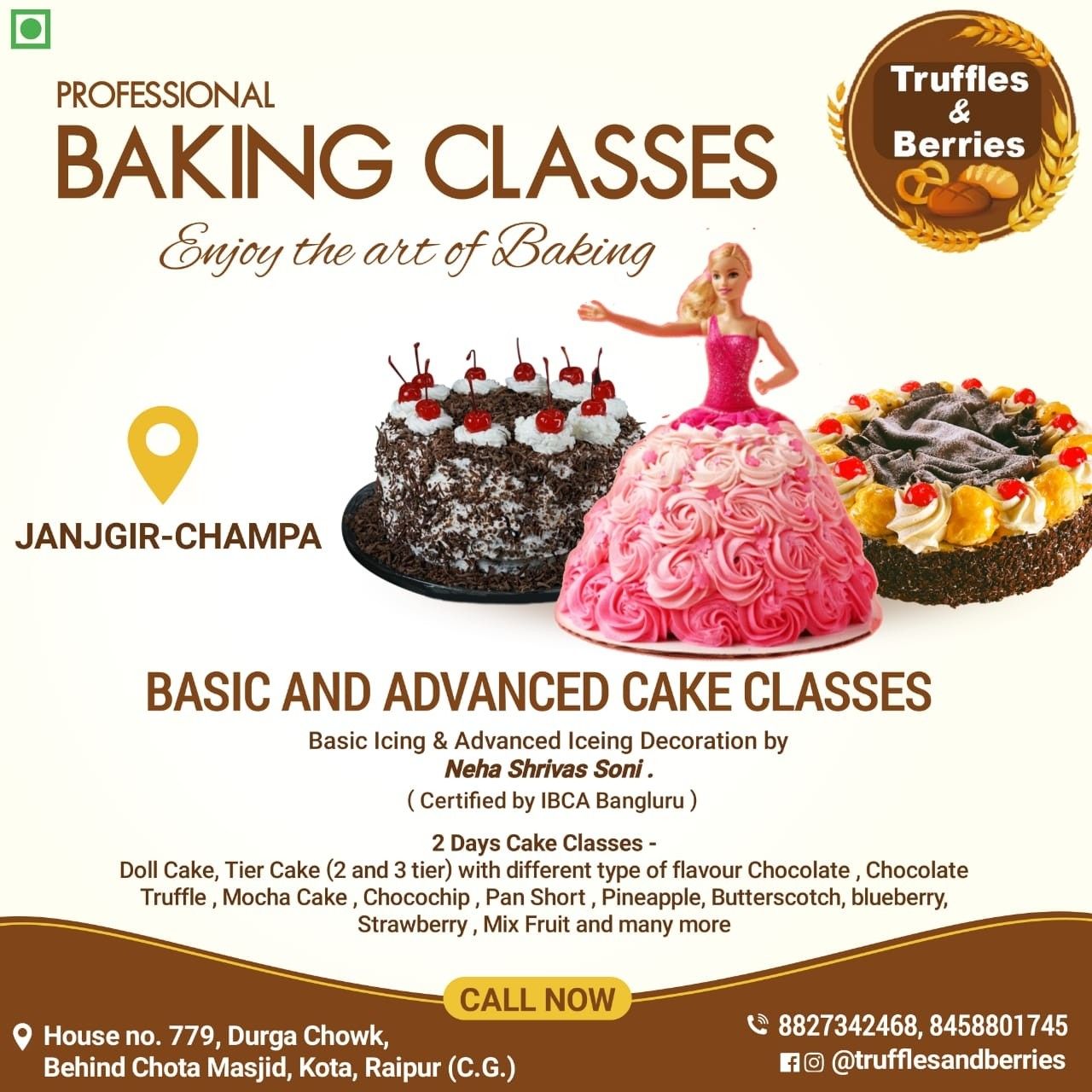 Tejus Cakes and Cooking Classes logo