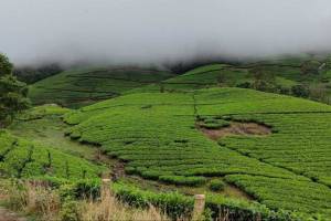 Tamizhan Trails India Private Limited