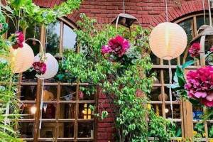 Diggin restaurant, Where Culinary Excellence Meets Cozy Elegance"Anand Lok, Delhi