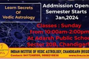 Indian Institute of Vedic Astrology Chandigarh | Best Astrology school in Chandigarh